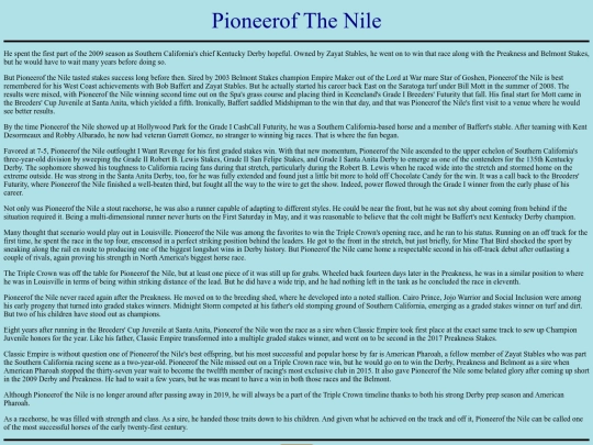 Horses/P/PioneerofTheNile screenshot