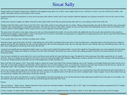 Horses/S/SircatSally screenshot