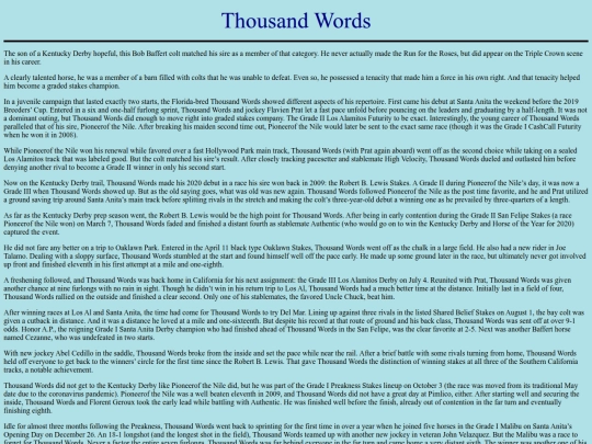 Horses/T/ThousandWords screenshot
