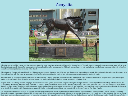 Horses/Z/Zenyatta screenshot