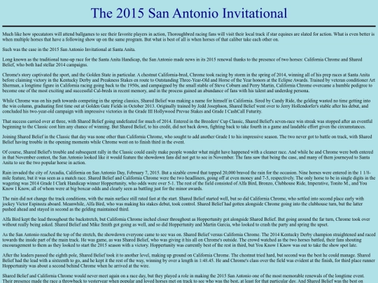 Races/2010s/2015SanAntonio screenshot