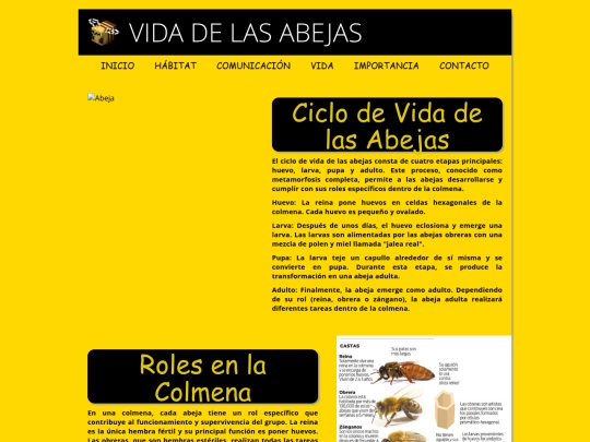 vida screenshot