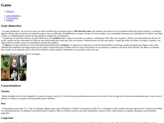 TP2 screenshot