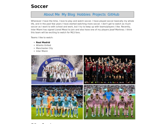 soccer screenshot