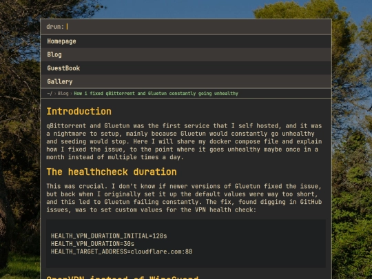 articles/How i fixed qbittorrent and gluetun constantly going unhealthy screenshot