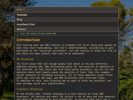img/articles/The reality of self hosting DNS screenshot