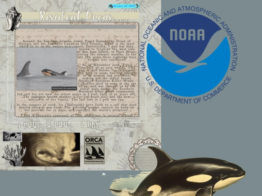 residentorcas screenshot
