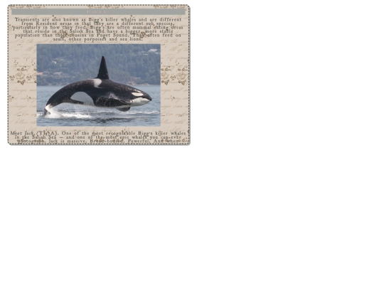 residentorcas/transients screenshot