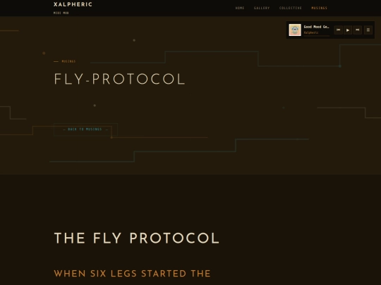 musings/fly-protocol screenshot