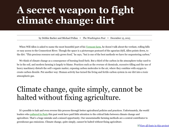 article screenshot