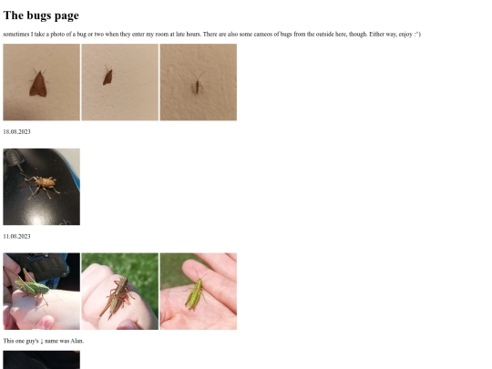 bugs screenshot