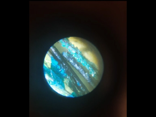 library/microscope screenshot