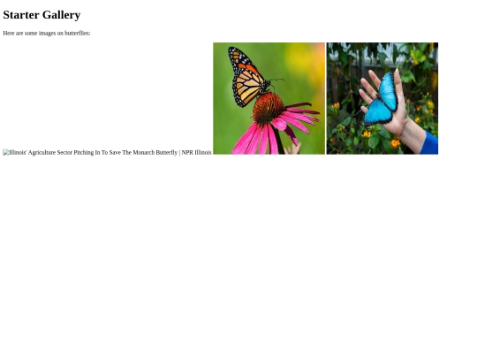 startergallery screenshot