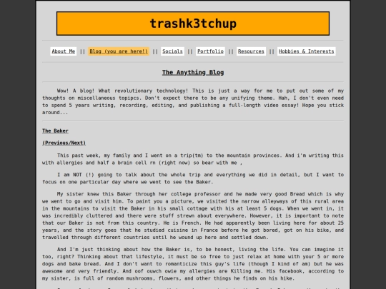 blog screenshot