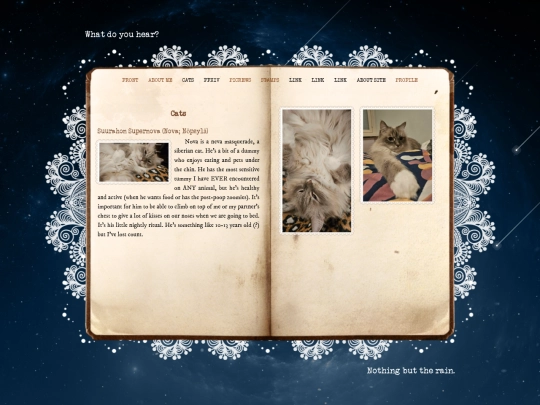 cats screenshot