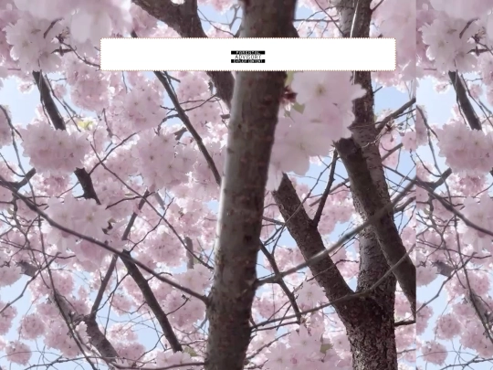 hhbhdcbksbdckhb screenshot