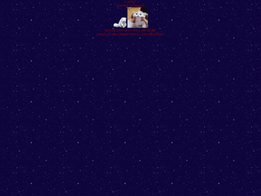 misc/shrines/cats screenshot