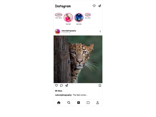 insta feed/insta screenshot