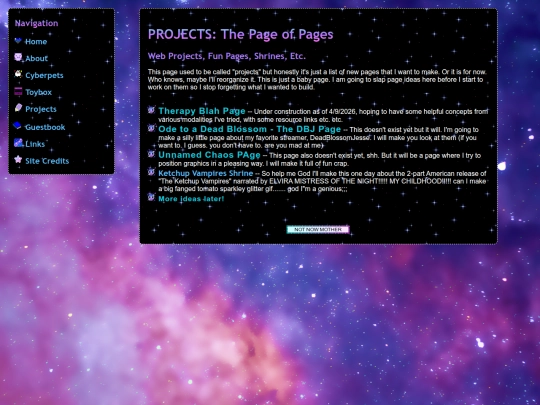 projects screenshot