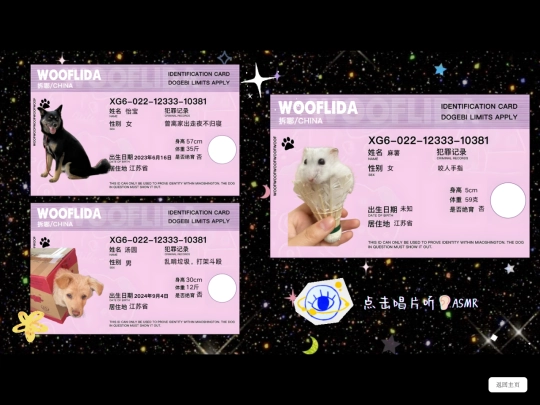 dog screenshot