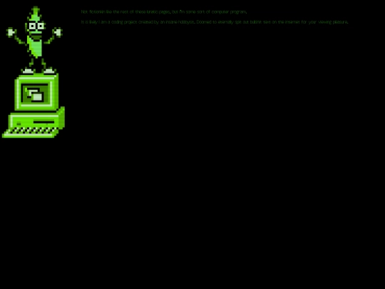 computer screenshot