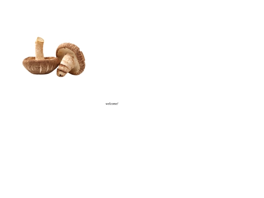 testing screenshot