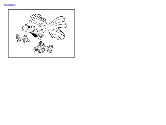 page5 screenshot