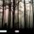 secret-forest.yorniq.xyz avatar