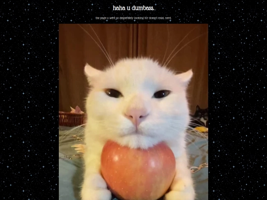 not_found screenshot