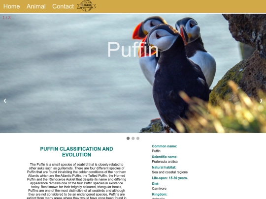 puffin screenshot