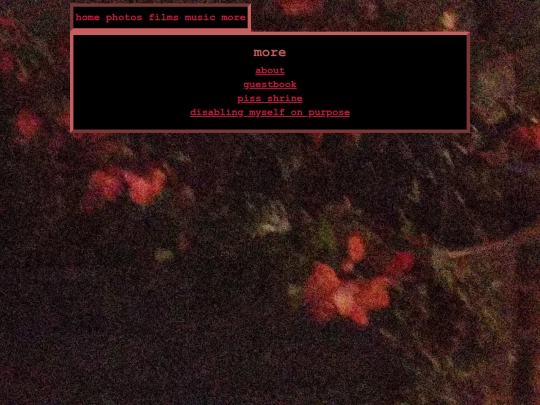 more screenshot