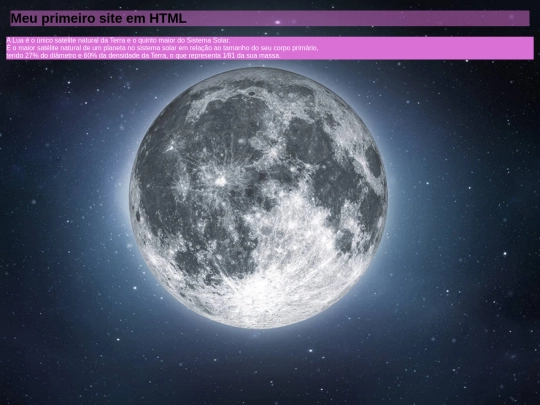 MeuSite screenshot