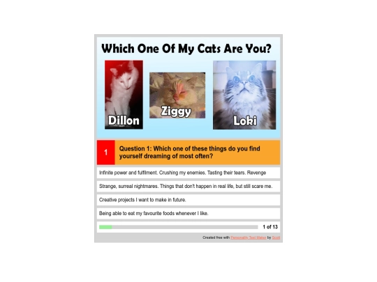 Cat personality quiz screenshot