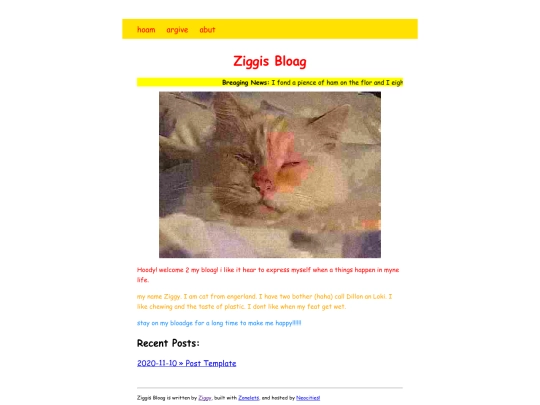 dillonblog/ziggyblog screenshot
