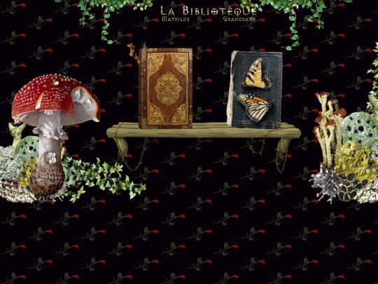 archive screenshot
