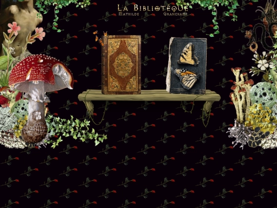 archive2 screenshot