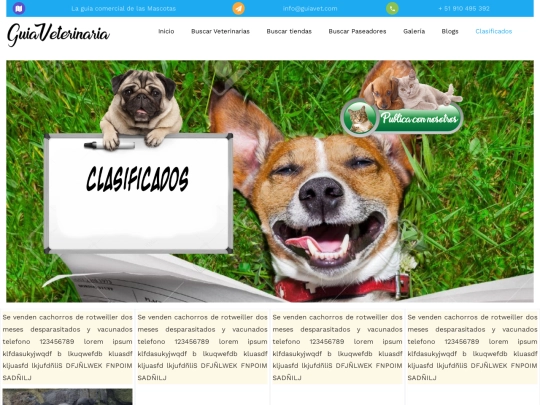Clasificados screenshot