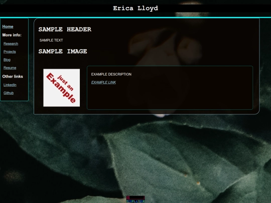 example screenshot