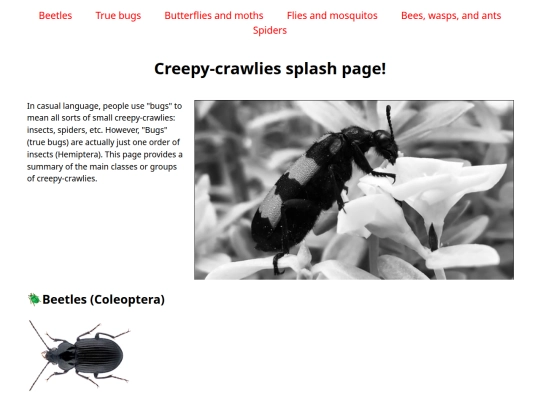 challenge: splash page/creepycrawliesindex screenshot