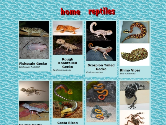 coolspecies screenshot