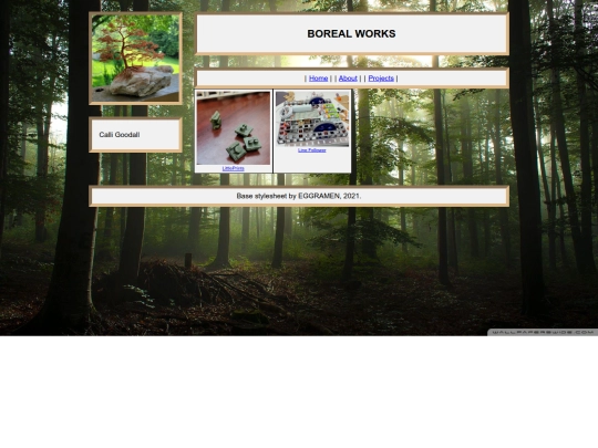 projects screenshot