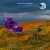 Poppyfield avatar