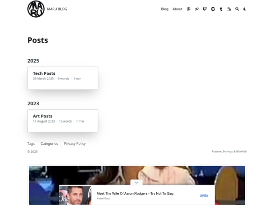 blog/posts screenshot