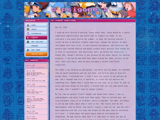 essays screenshot