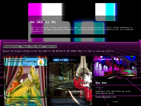 bitcoinNFTv2 screenshot