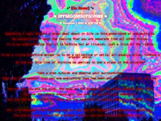 pages/journal/interconnectedness/continue screenshot