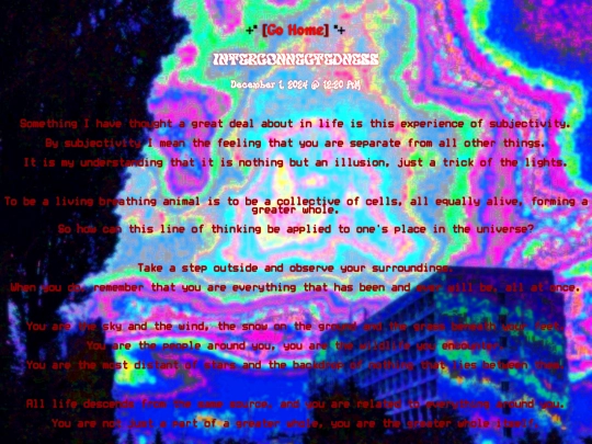 pages/journal/interconnectedness/continue/mobile screenshot