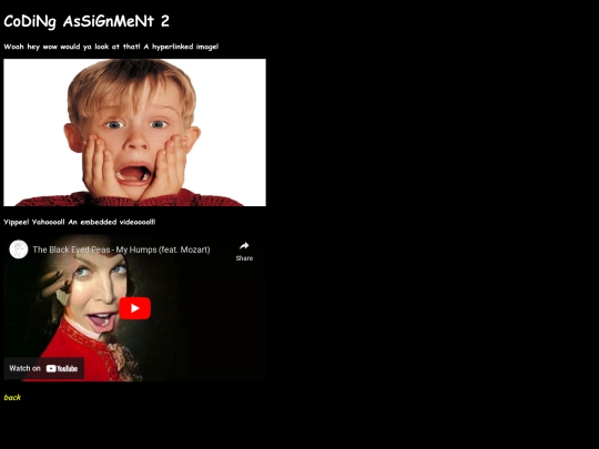 codingassignment2 screenshot