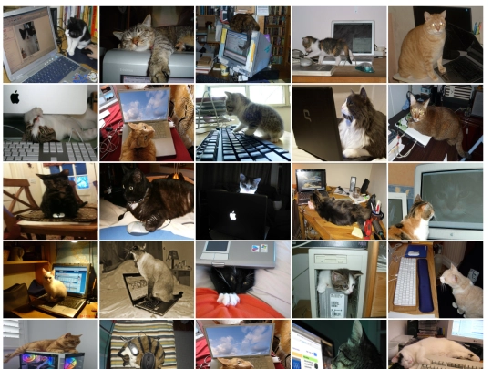 images screenshot