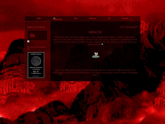 webmaster screenshot